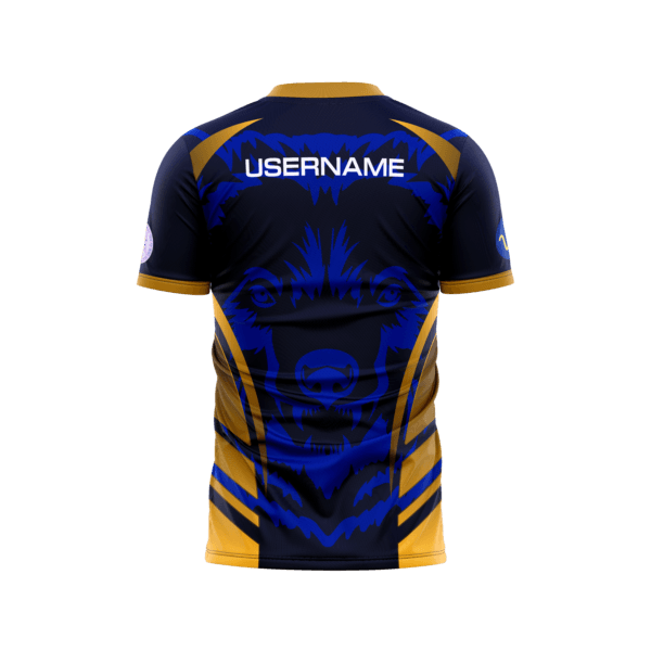 Maillot Pingou Esport 2024 X Axel ALFANDARI – Image 2
