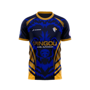 Maillot Pingou Esport 2024 X Axel ALFANDARI