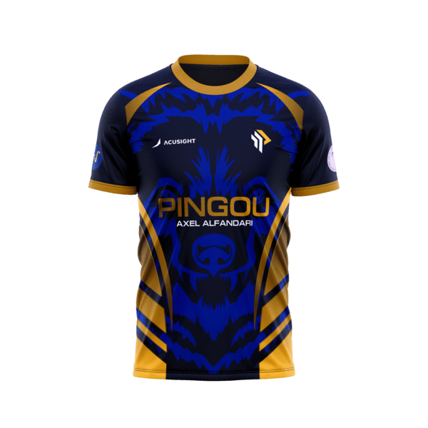 Maillot Pingou Esport 2024 X Axel ALFANDARI