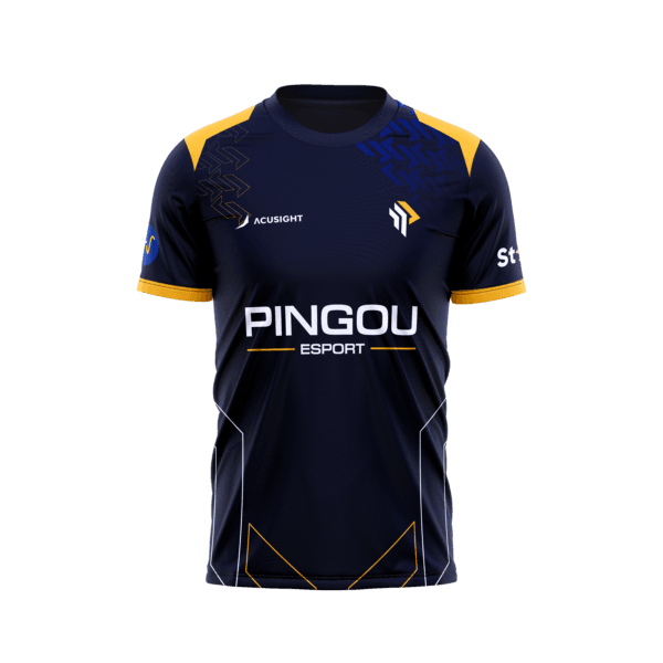 Maillot Pingou Esport 2024
